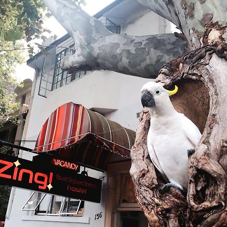 بيت شباب Zing Backpackers سيدني المظهر الخارجي الصورة